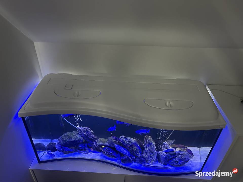 Akwarium fala 240 litrów z pełnym wyposarzeniem Ostrołęka
