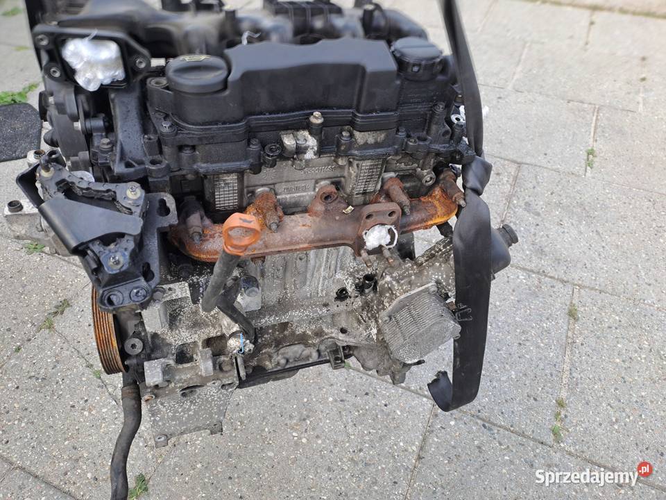 Citroen Peugeot 16 HDi 109 silnik kod 9HZ Jastrzębie-Zdrój