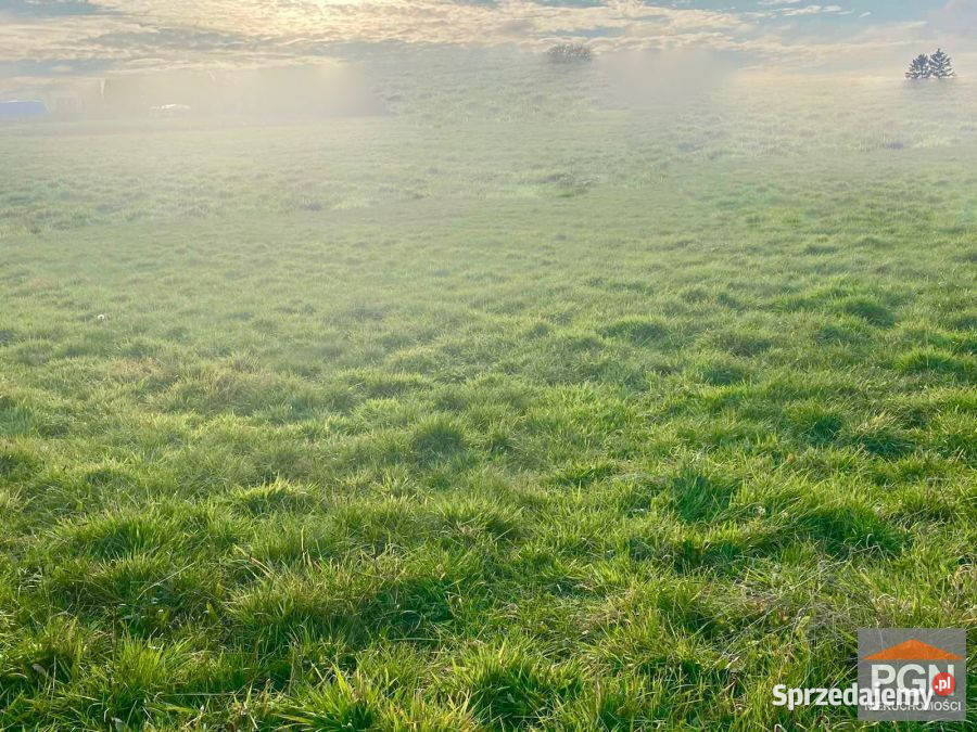 Działka 3000m2 Gryfice Sprzedaż sprzedam