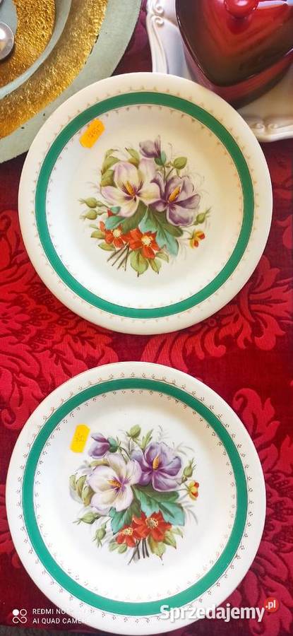 Piękne talerze bratki w bukiecie kwiatów pomorskie Gdańsk sprzedam