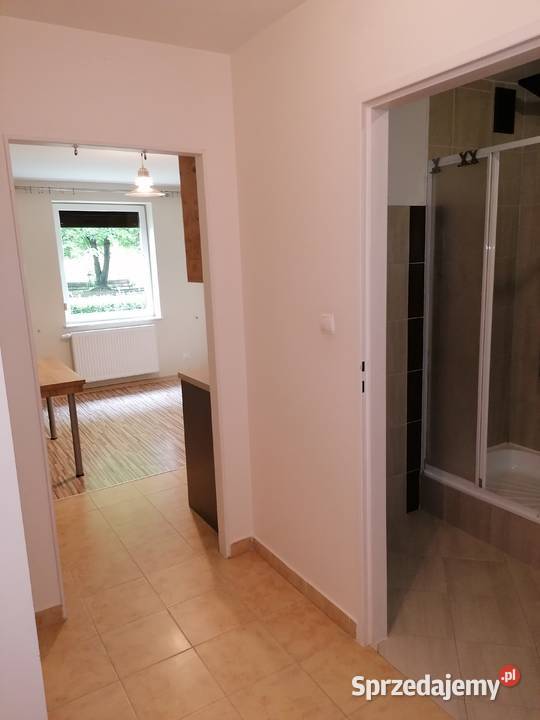 Mieszkanie do wynajęcia 384 m2 parter podkarpackie Ropczyce sprzedam