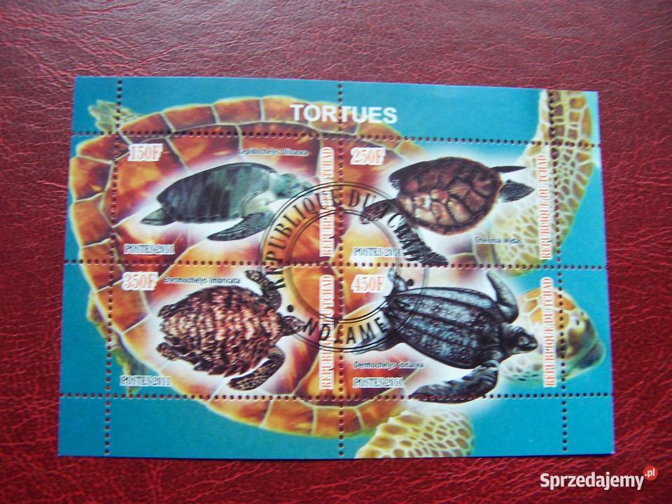 Czad 2011 CTO Fauna Żółwie śląskie Tychy