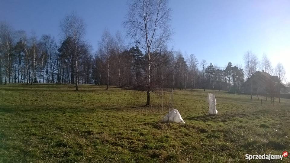 Sprzedam Piękną Działke Nowy Wiśnicz