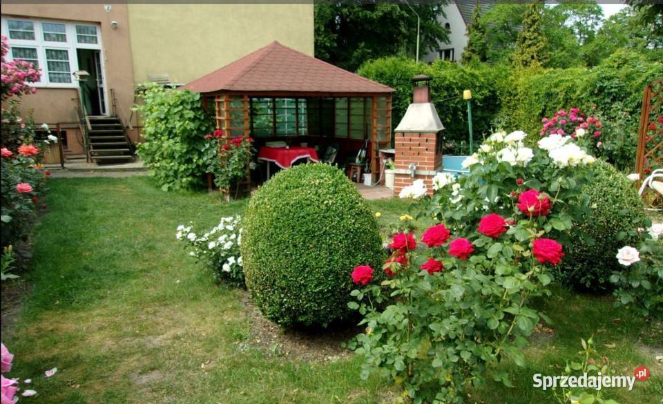 2pok 78met Bukowej 3 PIWNICEOGRÓDGARAŻ Legnica Liczba pokoi 2