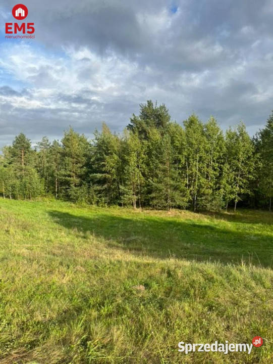 Działka 282216m2 Hołny Wolmera podlaskie sprzedam
