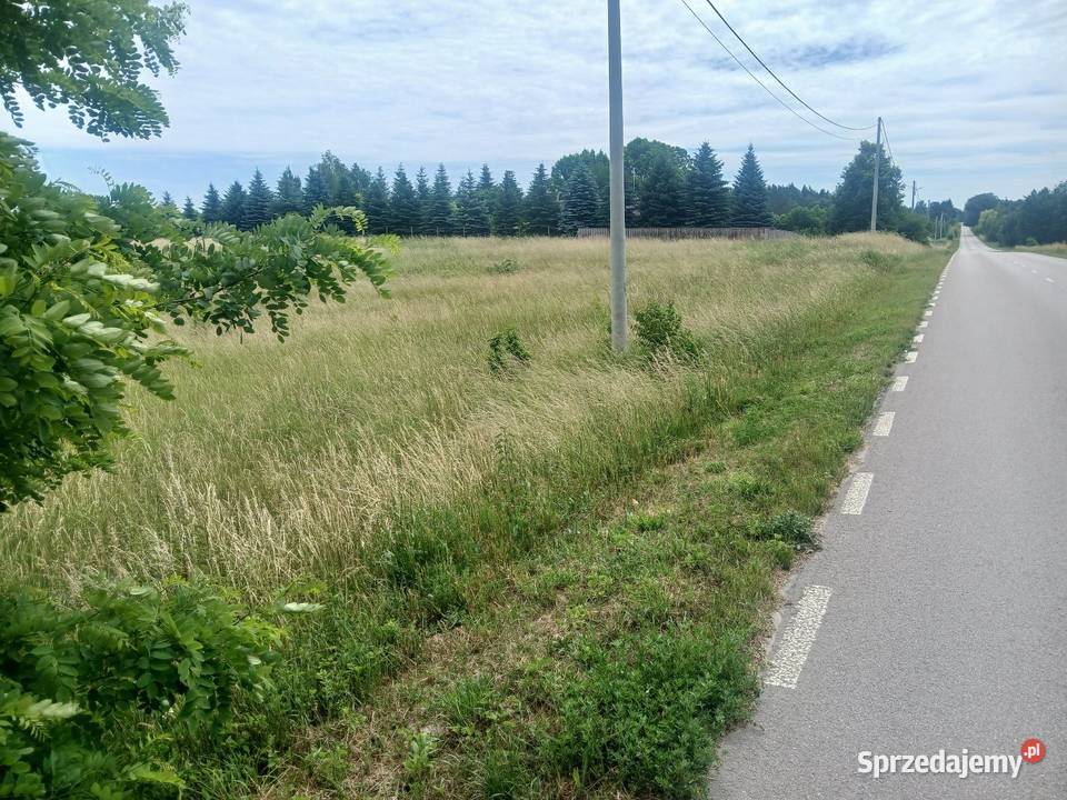 Działka budowlana 45 a Krzywowola gm Rejowiec lubelskie Chełm