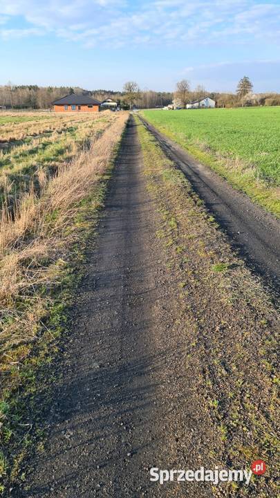 Działki z warunkami zabudowy w Rokitnicy Rokitnica
