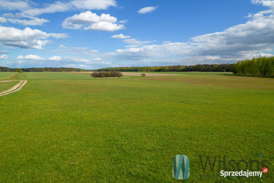 sprzedaży gruntu Sobolew 2000m2