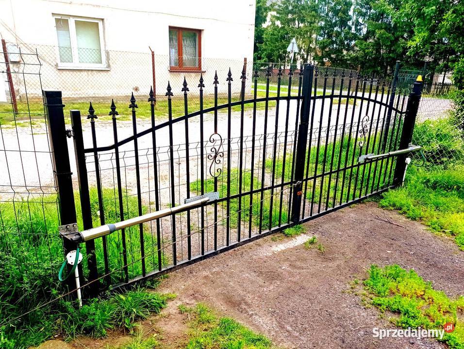 Rodziny Dom Działka 900m Budynki Zieleń Owoce węglowe mazowieckie Mława