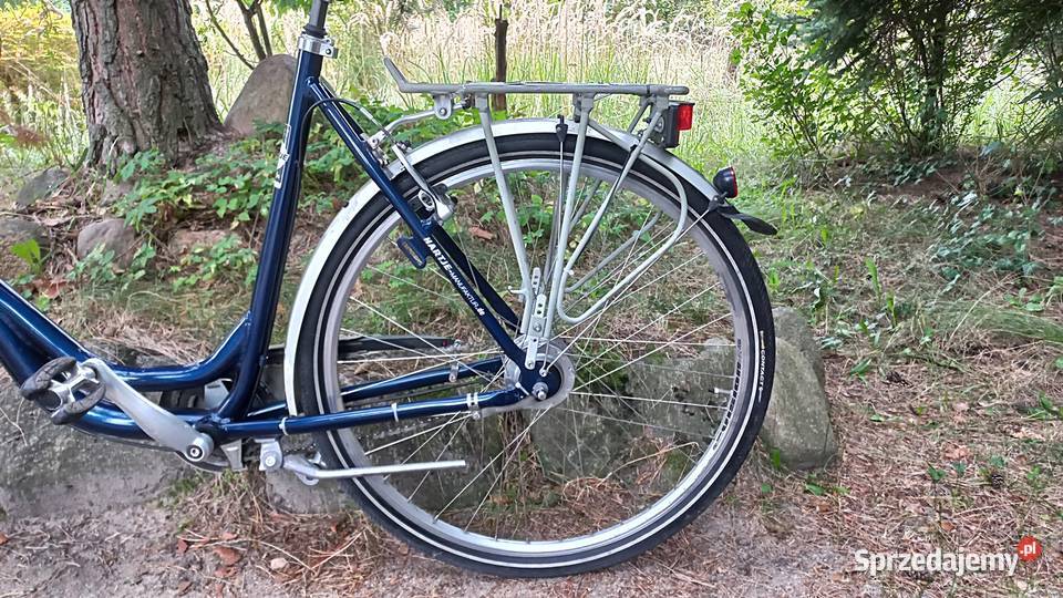 Alu Rower Miejski Damski Łabędź Niska Rama Wołów