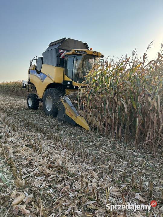 Holland Cx 5090 Łysakowo