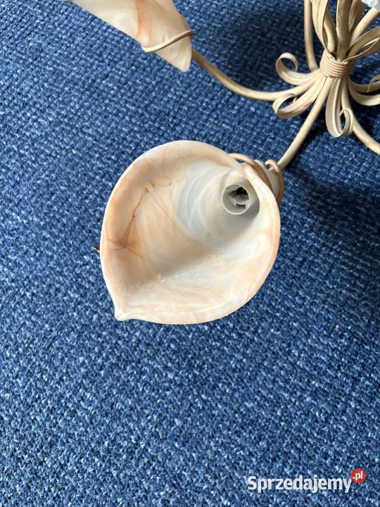 Żyrandol do salonu Oświetlenie kujawsko-pomorskie Grudziądz