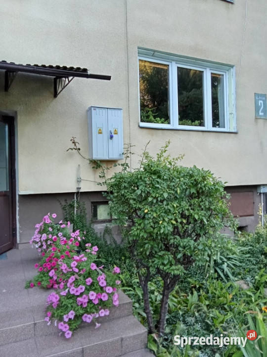 Mieszkanie 48m2garażpomieszczenie gospodarcze w Kałuszyn