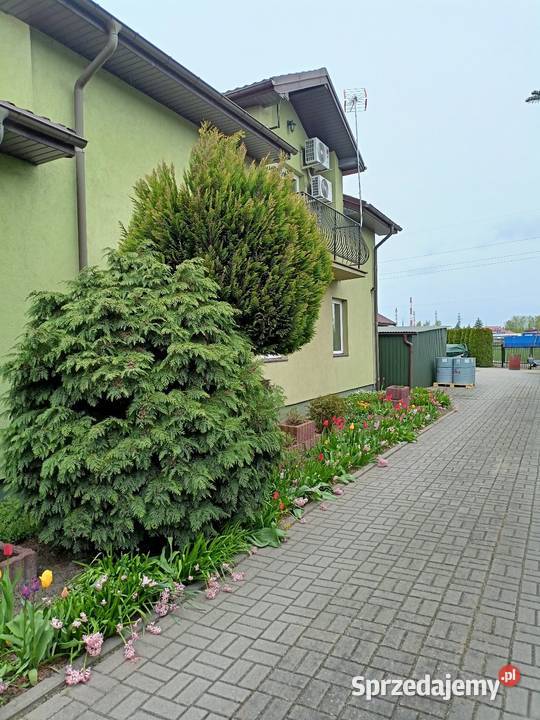 Sprzedam budynki UsługowoHandlowe