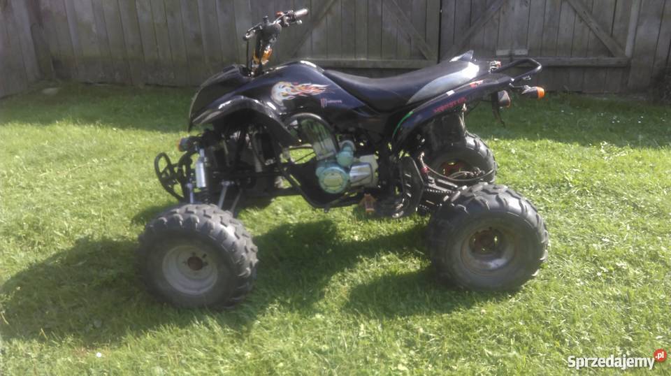 Bashan na dotarciu Gorzewo sprzedam