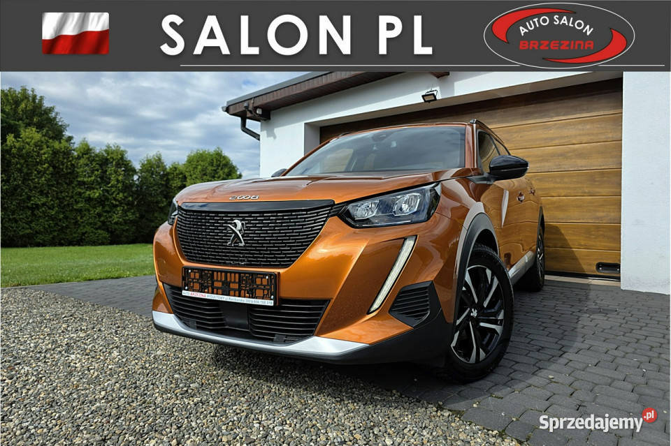 Peugeot 2008 serwis ASO Hak II 2019 Rydułtowy