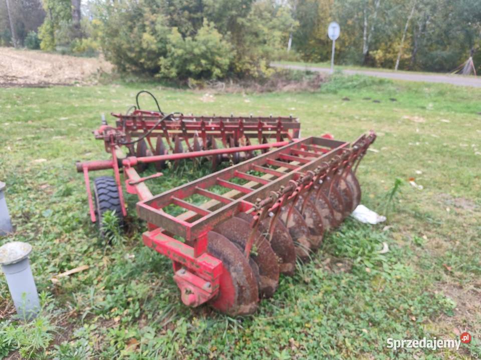 Talerzowa lira Harrie mazowieckie Nowe Miasto-Folwark