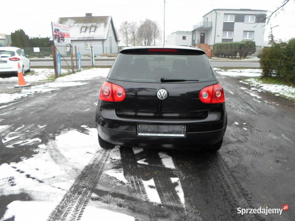 Volkswagen Golf 16 V 20032008 Rok produkcji 2003 wielkopolskie Jarocin