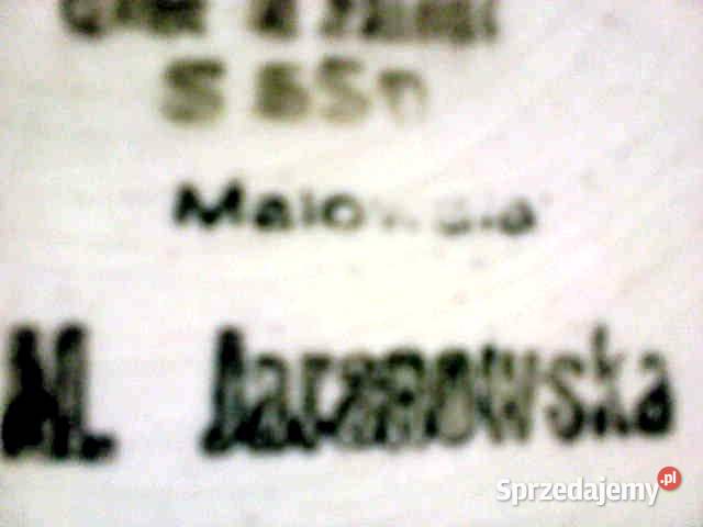 Talerz Włocławek fajans