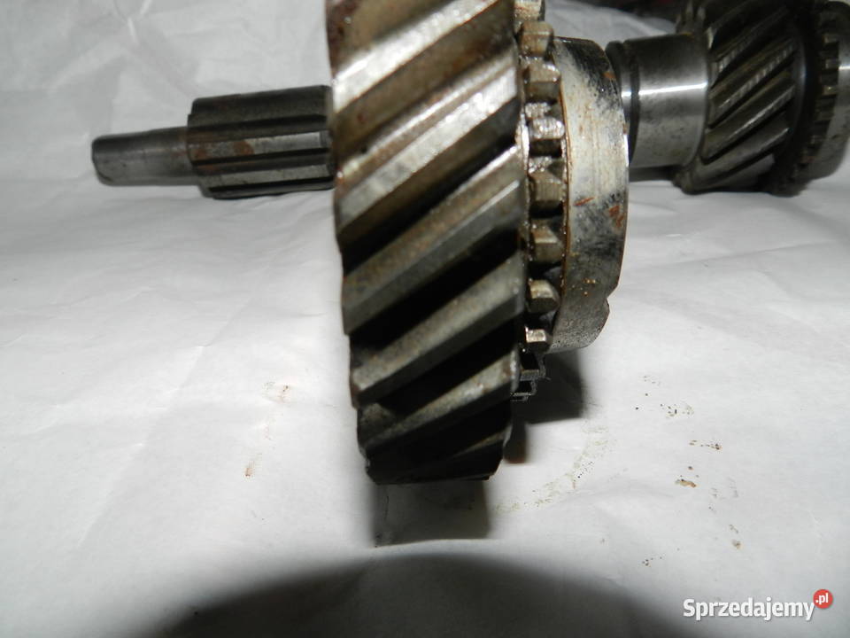 żuk skrzynia Rymanów