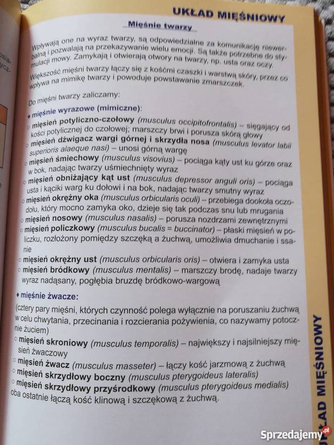 Atlas anatomiczny Poznań sprzedam