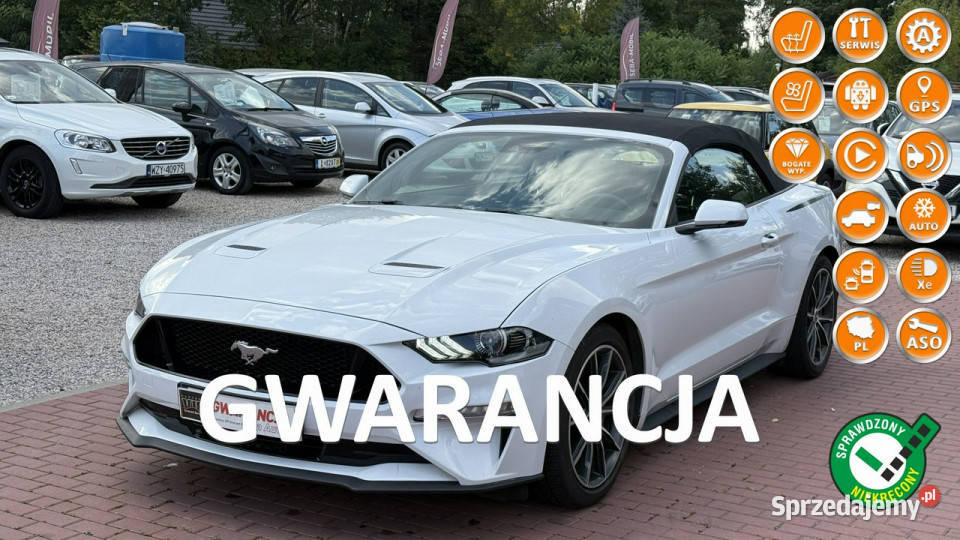 Ford Mustang Cabrio Wypas Automat VI 2014 światła przeciwmgielne