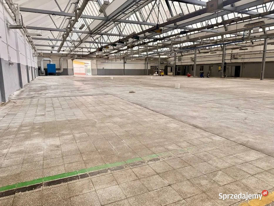 Lokal Kielce 1645m2 dojazd asfaltowy