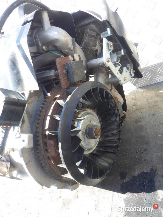 Silnik Spalinowy Tecumseh 2 x Twin Duzy 2 Rzeszów