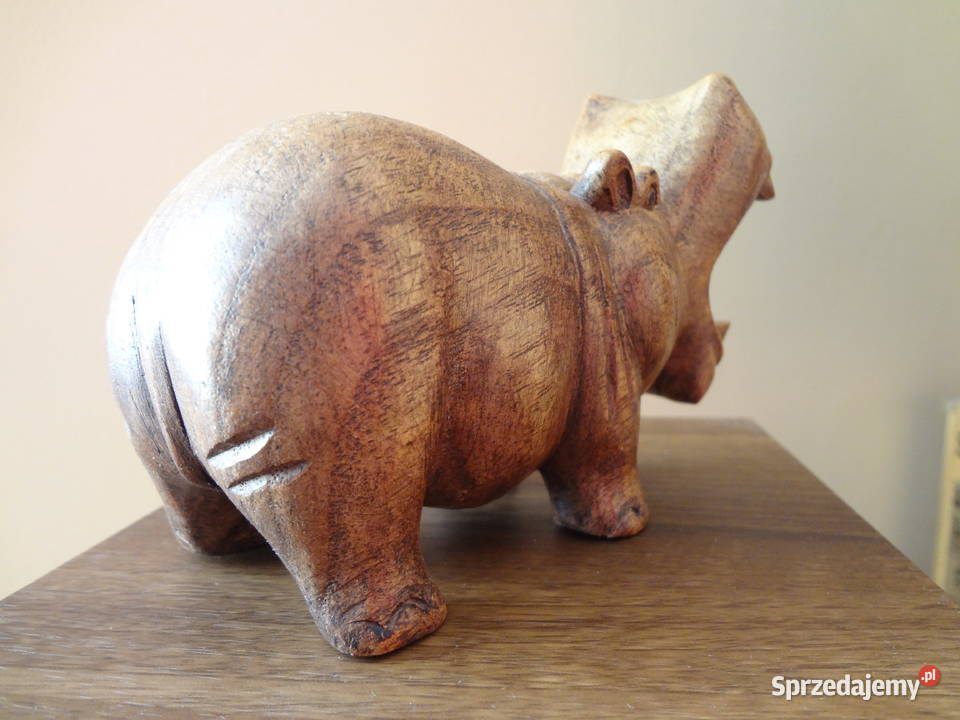 Chipopotam dolnośląskie Wrocław sprzedam