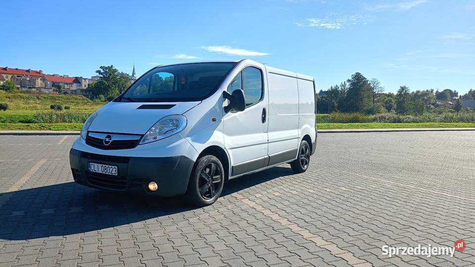 Opel Vivaro 2009 kujawsko-pomorskie Lipno