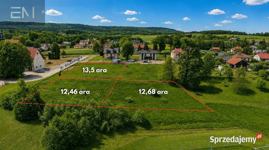Do sprzedaży grunt Godowa 1350m2
