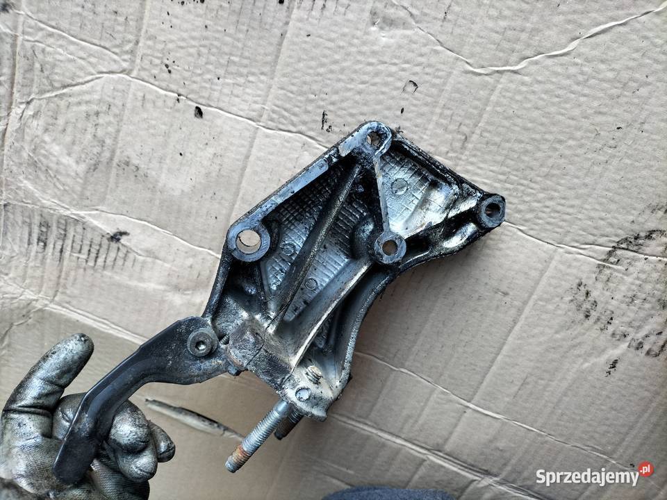 NAPINACZ PASKA ROLKA ŁAPA PEUGEOT CITROEN FIAT Motoryzacja Kamień-Kolonia