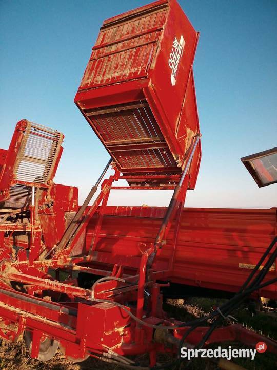 Kombajn ziemniaczany Grimme MK700 Wola Zofiowska