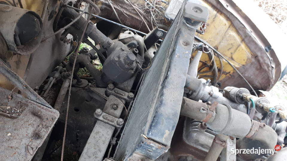 Syrena Bosto sprzedam