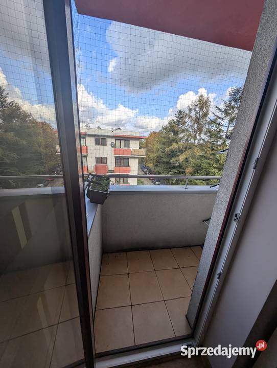 Mieszkanie do wynajęcia właściciela
