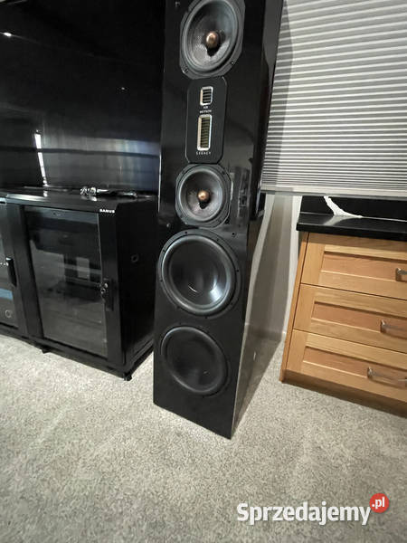 Legacy Audio Focus SE Floorstanding Speakers lubuskie sprzedam