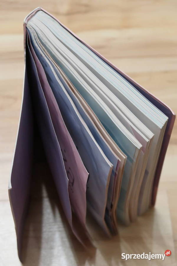 Anne Deans CIĄŻA Poradnik rodziców mazowieckie Siedlce