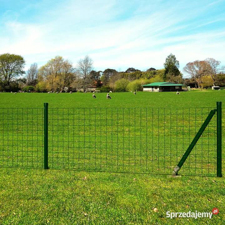 vidaXL Euro ogrodzenie stalowe 10 x 12 m zielone sprzedam