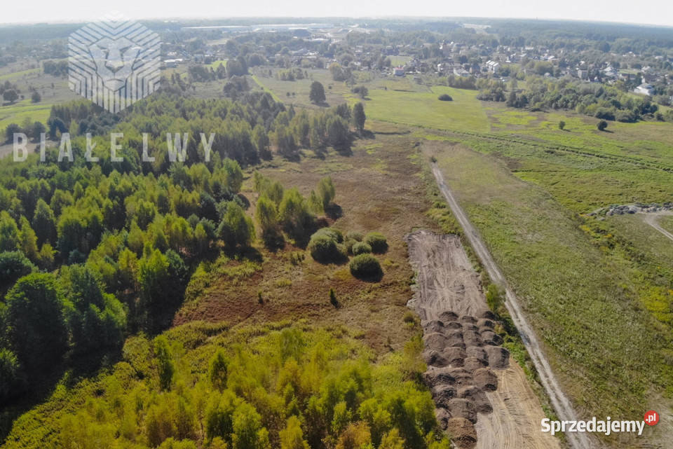 Ogłoszenie działka Nadma Rzeczna 4500m2 4500m2 Sprzedaż sprzedam
