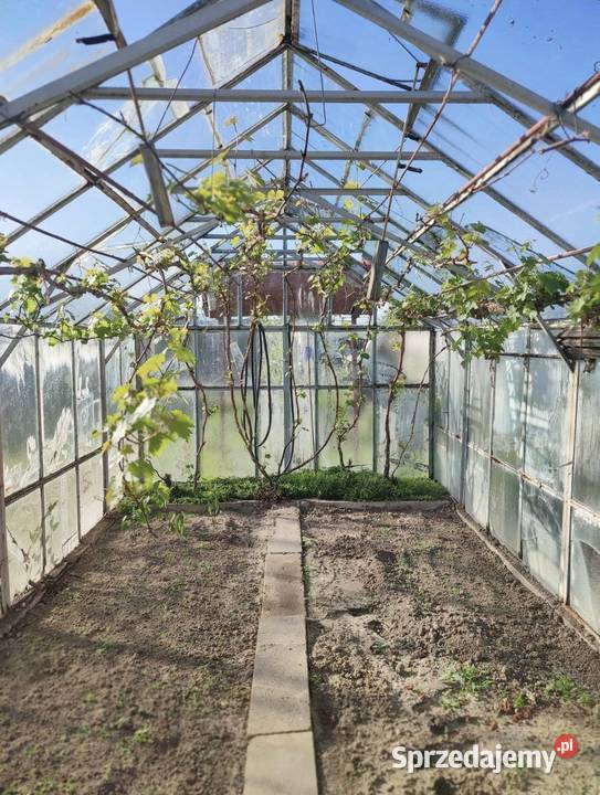 Sprzedam działkę ROD MICKIEWICZA Nysa