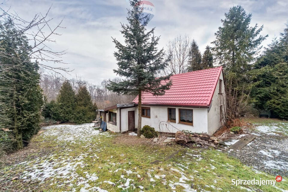 Nieruchomość z potencjałem Wyzwolenia