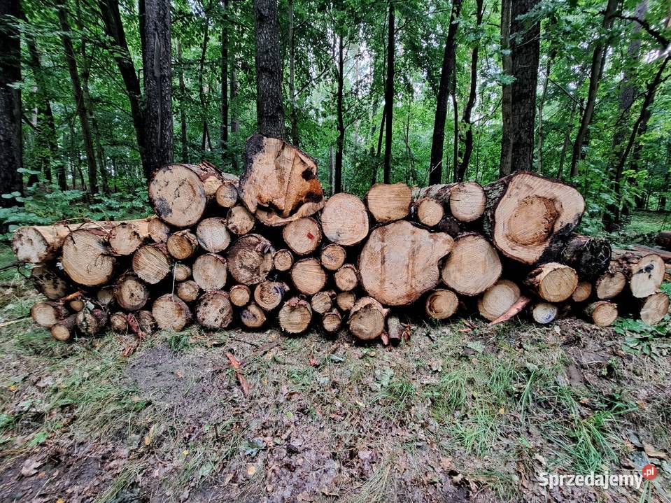 drewno opałowe Starogard Gdański