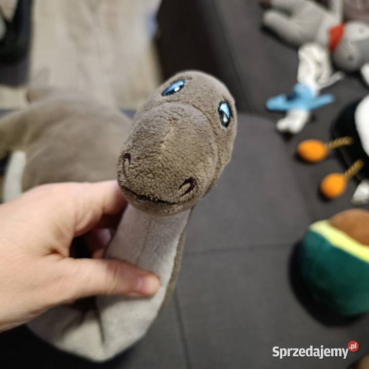 dinozaur gustaw Dino sasha 45 Poznań