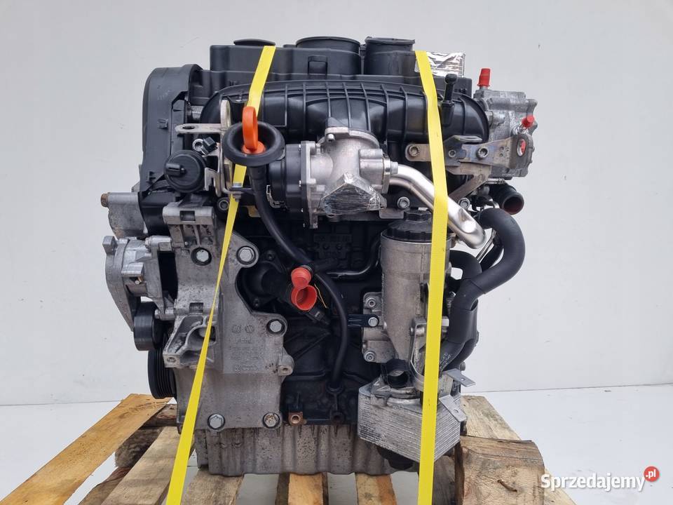 SILNIK KOMPLET VW Jetta III V Golf V 20 TDI 170 osobowe Silniki kompletne Rudka sprzedam
