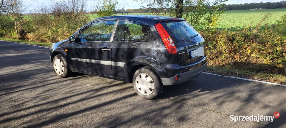Ford fiesta 2006r manualna Jerzmanowa