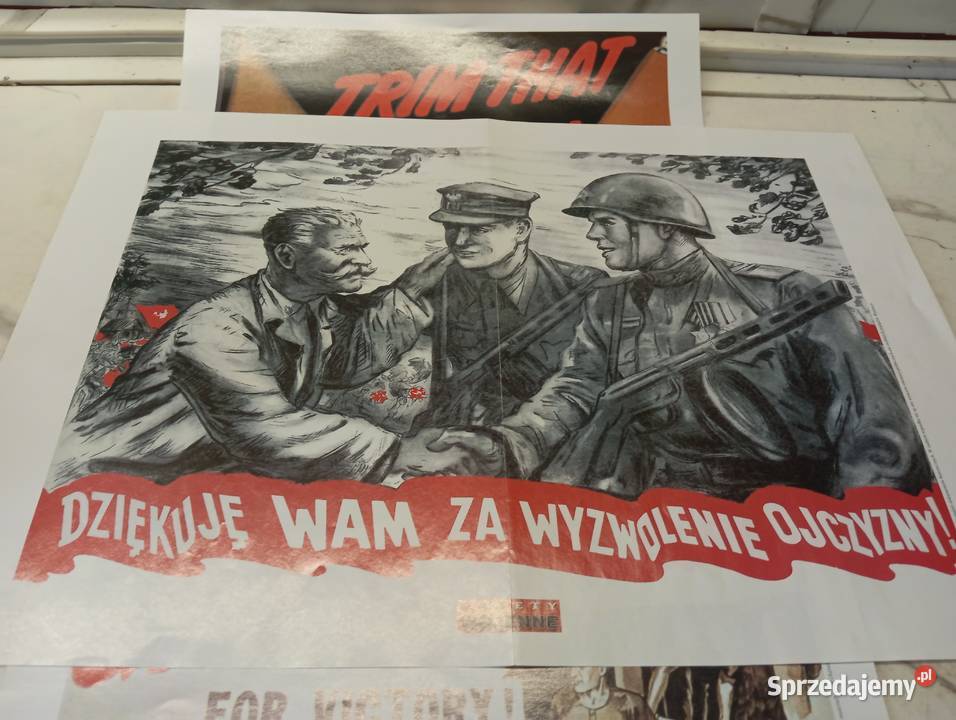 Porządki domowe plakaty Militaria Cieszyn