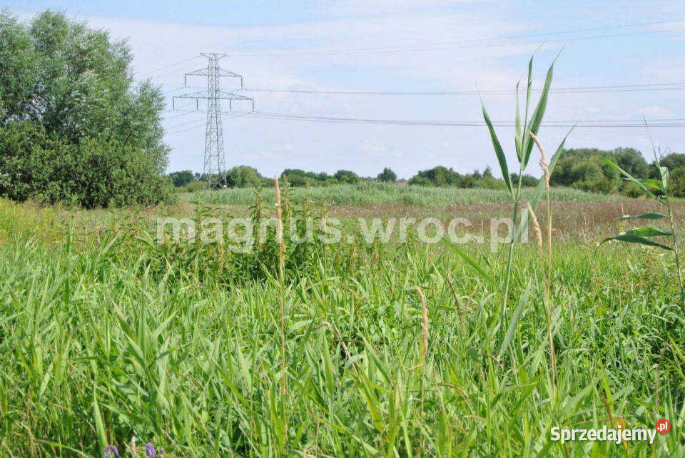 Działka rolna w sercu Wrocławia Widawą Kowale dolnośląskie Wrocław sprzedam