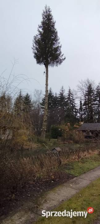 prace wysokościowe alpinista mycie malowanie Gorzów Wielkopolski