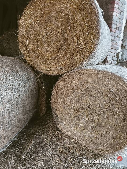 Słoma baloty wywóz obornika siano owies Opole