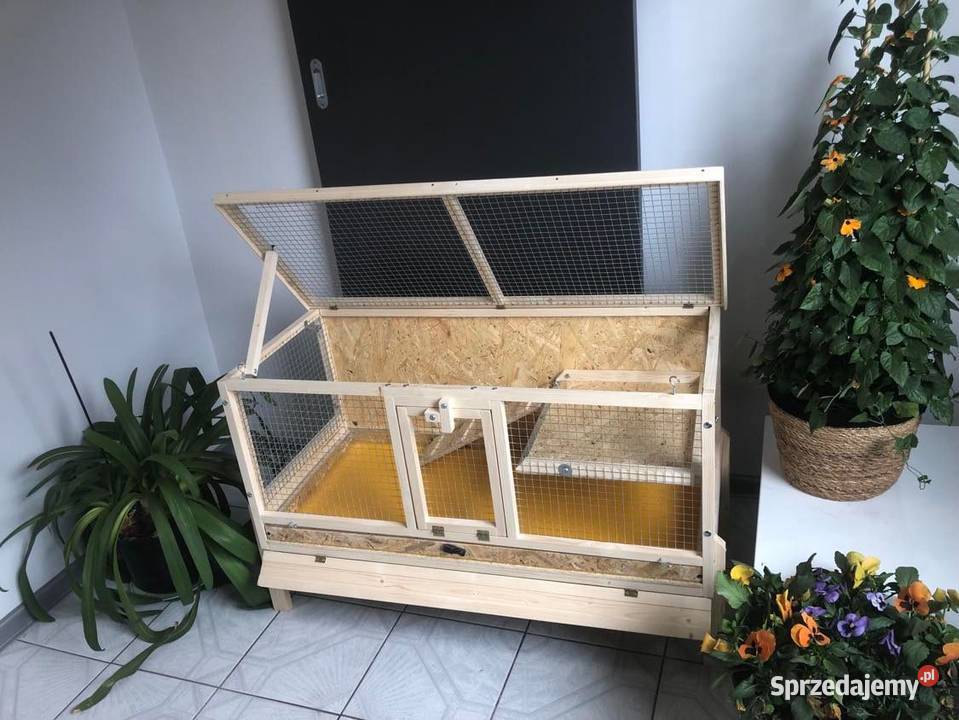 Klatka drewniana zagroda królika świnki morskiej Myszków